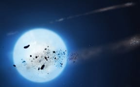 The white dwarf shown in the illustration is one of several that an international team of astronomers has been studying. Called ZTF J0923+4236, the star exhibits a series of dips in its brightness. The team, led by Amornrat Aungwerojwit from Naresuan University, Thailand, and Boris T. GÃ¤nsicke from Warwick University, UK, has attributed these changes in brightness to clumps of dusty and rocky material that are bound to the star in a highly elongated orbit.This material, that believe, is due to planets that are in the process of disintegrating. Eventually these clumps collide with the star and pollute its atmosphere. (Photo by MARK GARLICK/SCIENCE PHOTO LIBRA / MGA / Science Photo Library via AFP)