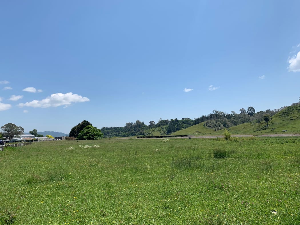 Tuhoe is looking to build its eco-village on this site at the corner of Morrison and Station Roads in Taneatua.