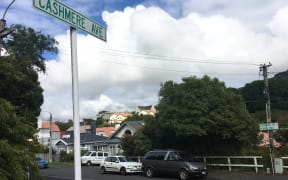 Cashmere Ave in Khandallah.