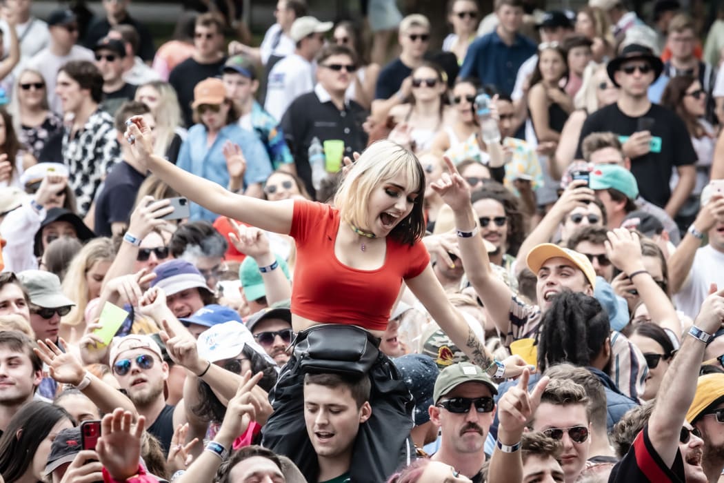 The crowd at Christchurch's Electric Avenue festival