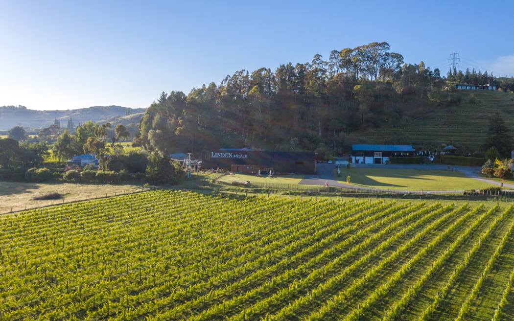Hawke's Bay winery Linden Estate in the Esk Valley was damaged by Cyclone Gabrielle in February 2023.