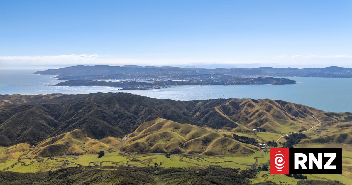 Wellington regional council buys large block of bush in Eastbourne | RNZ