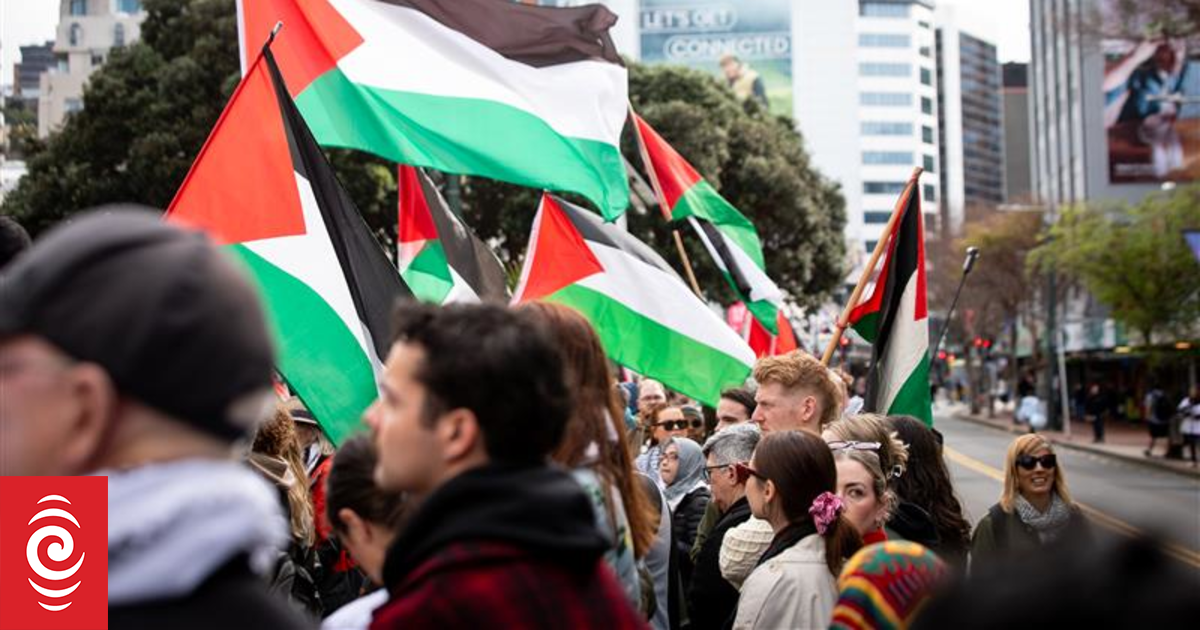 Watch: Pro-Palestinian protests across country call on government to sanction Israel