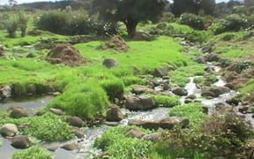 Poroti Springs