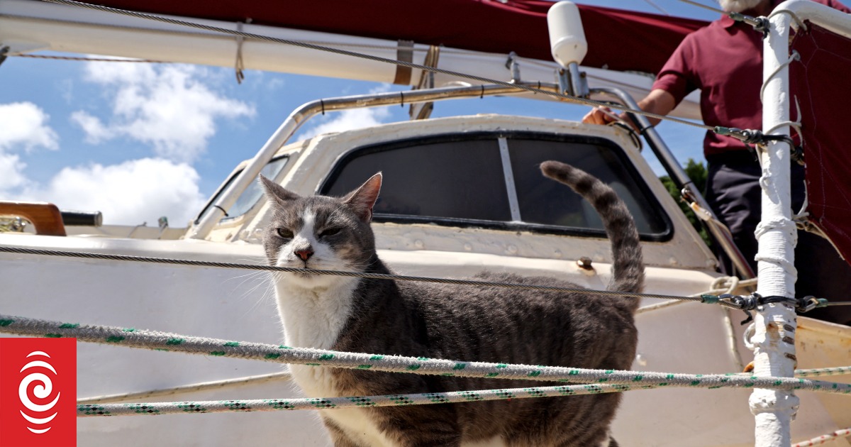 Kat przechodzi do historii w Sydney podczas regat Hobart Yacht Race