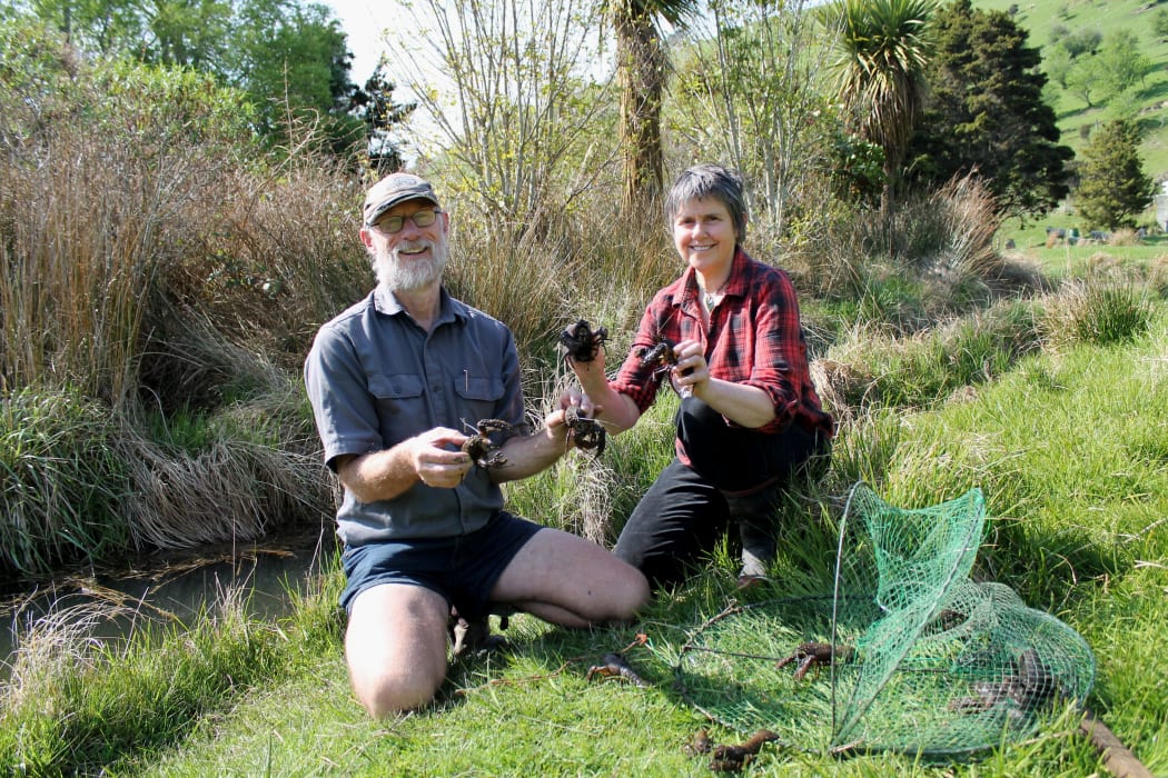 Roy and Jan Johnstone