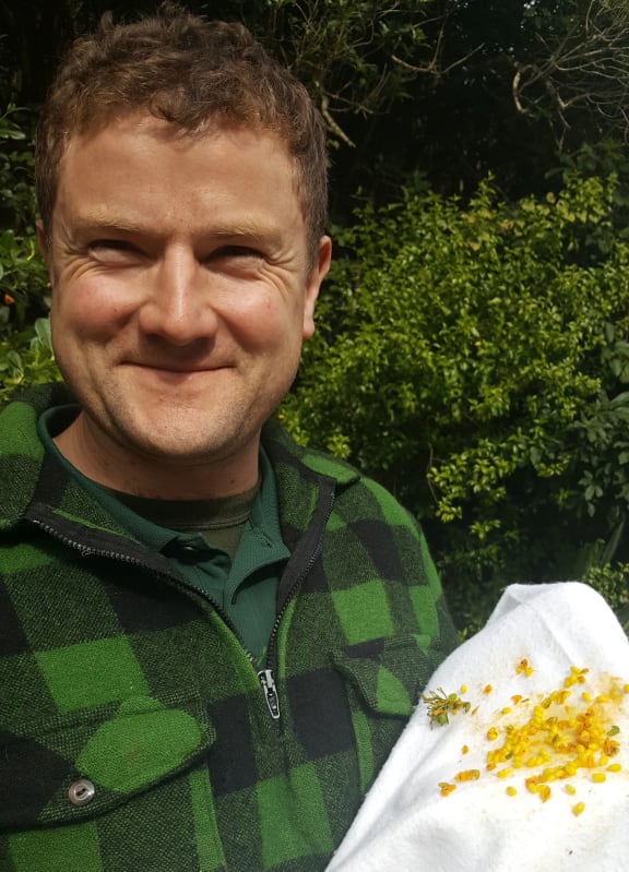 Finn Michalak with mistletoe seeds that are ready to attach to trees.