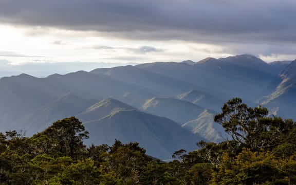 View from John Reid Hut, Kahurangi