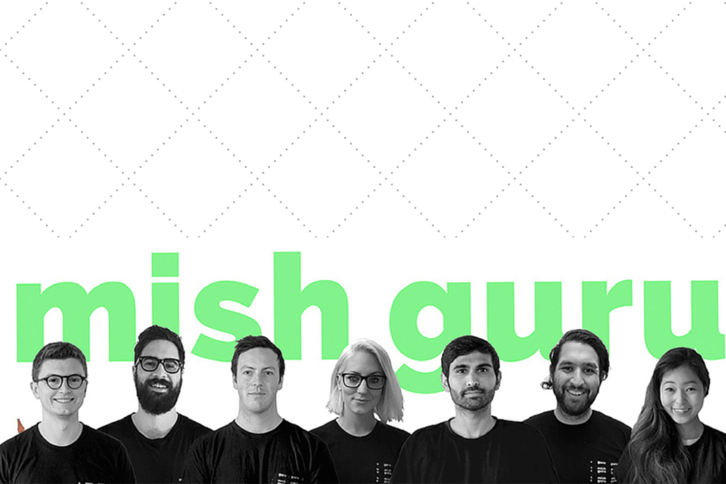 Mish Guru Team