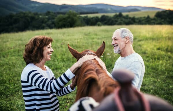 A couple petting a horse on a farm.