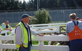 Tutor Graeme Allomes teaches animal care.