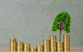 Tree growing on pile of golden coins, growth business finance investment and Corporate Social Responsibility or CSR practice and sustainable development concept idea.