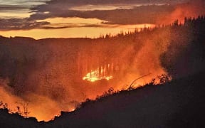 It could take days to extinguish a wildfire burning in a Canterbury pine forest, Fire and Emergency says. Fire crews have been fighting the blaze near Waipara in the Hurunui district since being alerted to it on Thursday night.