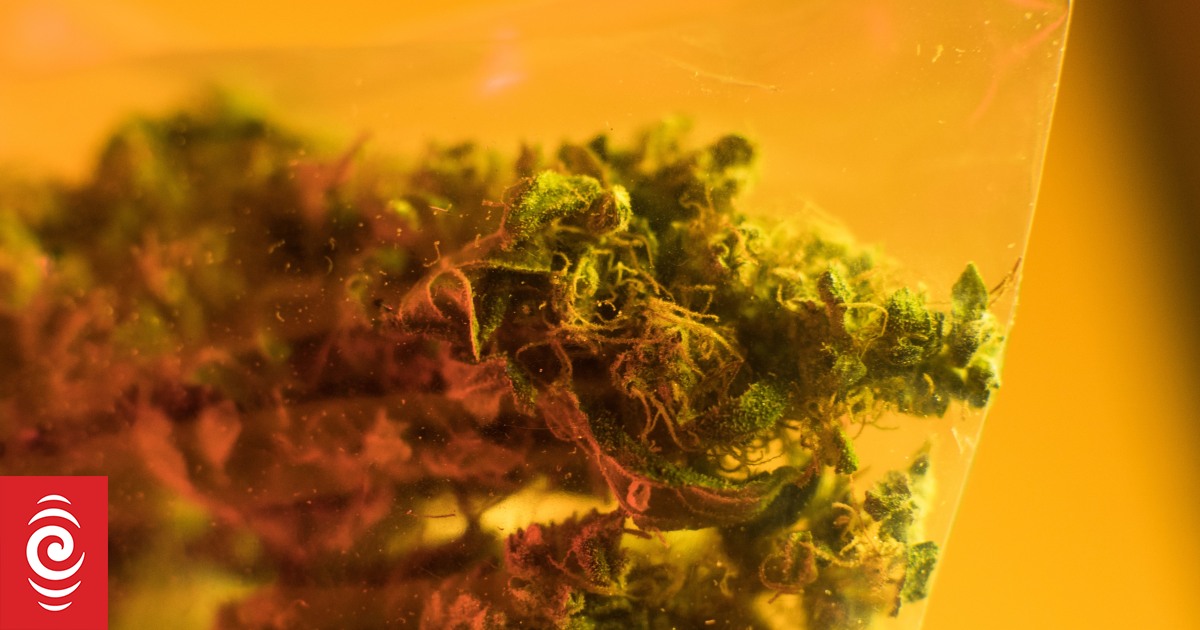 Fringe Fiji cannabis 'movement' demands legalisation reform for 'freedom to use'