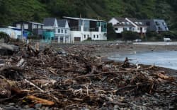 Owhiro Bay day after high waves - June 10
