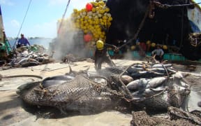 tuna on the deck of a Pacific fishing vessel