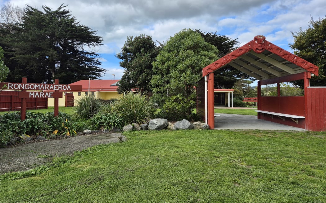 Rongomaraeroa Marae in Porangahau, which the Regional Council is proposing to lift up for flood protection.