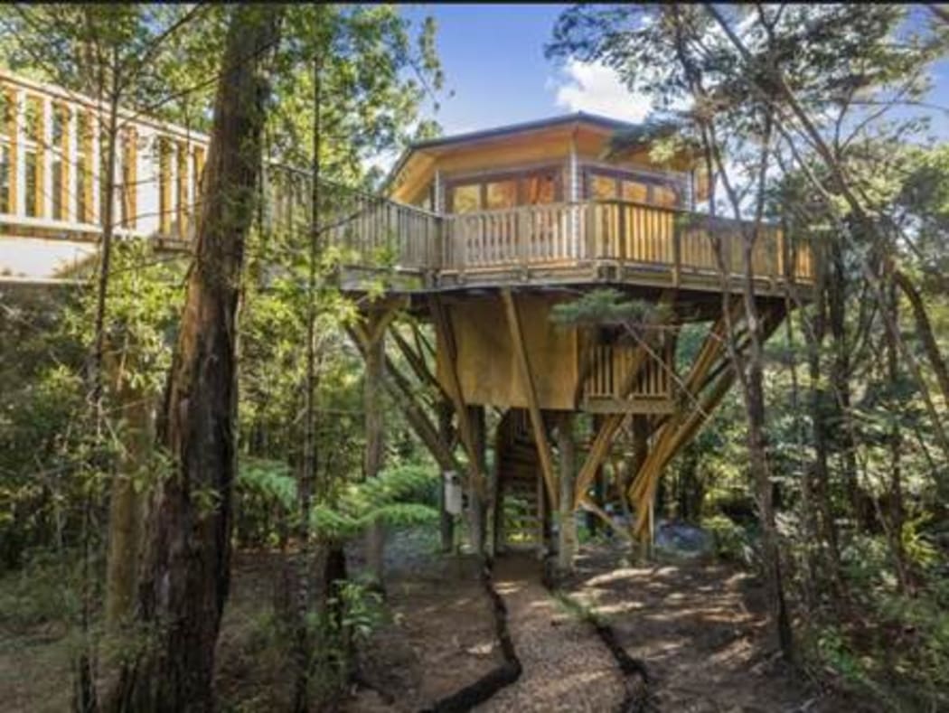 The council found 380 square metres of land was cleared to build the treehouse