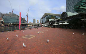 Seagulls are seen in an empty Darling Harbour in Sydney.