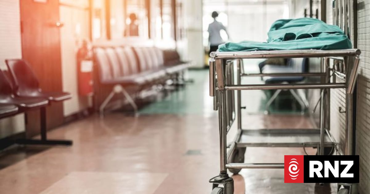Health NZ suggests nursing schools look elsewhere for placements