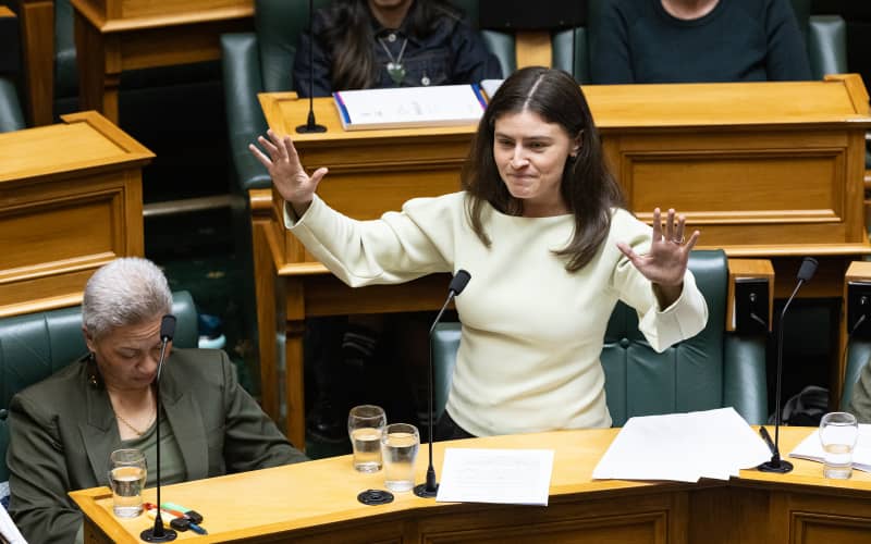 Greens change tax policy costings after mistake put it out by $800m | RNZ