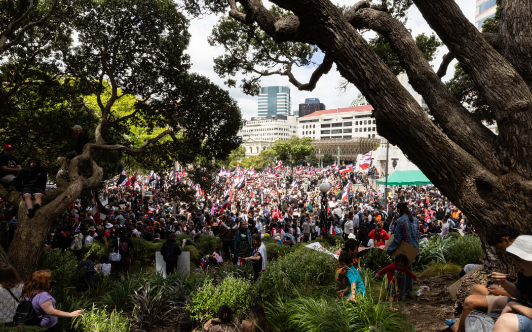 The hikoi against the Principles of the Treaty of Waitangi Bill reaches Parliament.