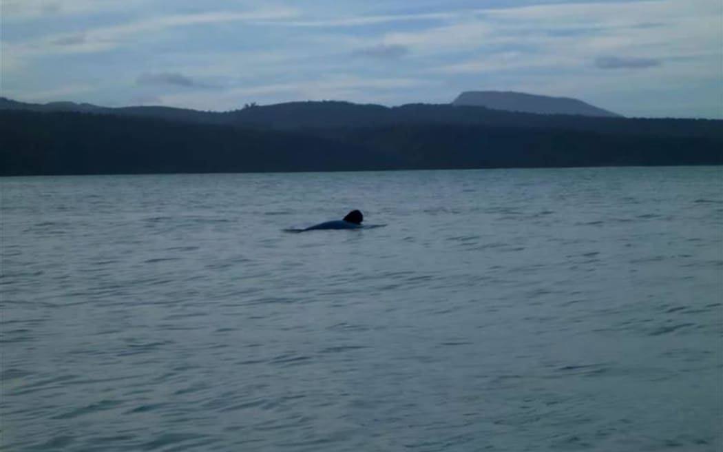 A Hector's Dolphin swims off the beach near Port Craig lodge.