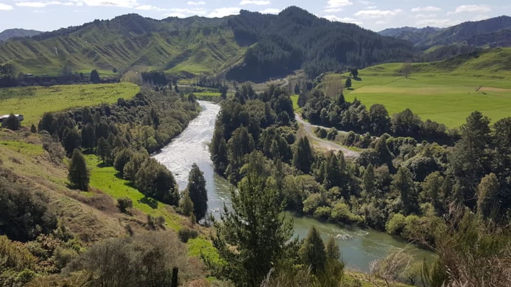 The upper Whanganui River