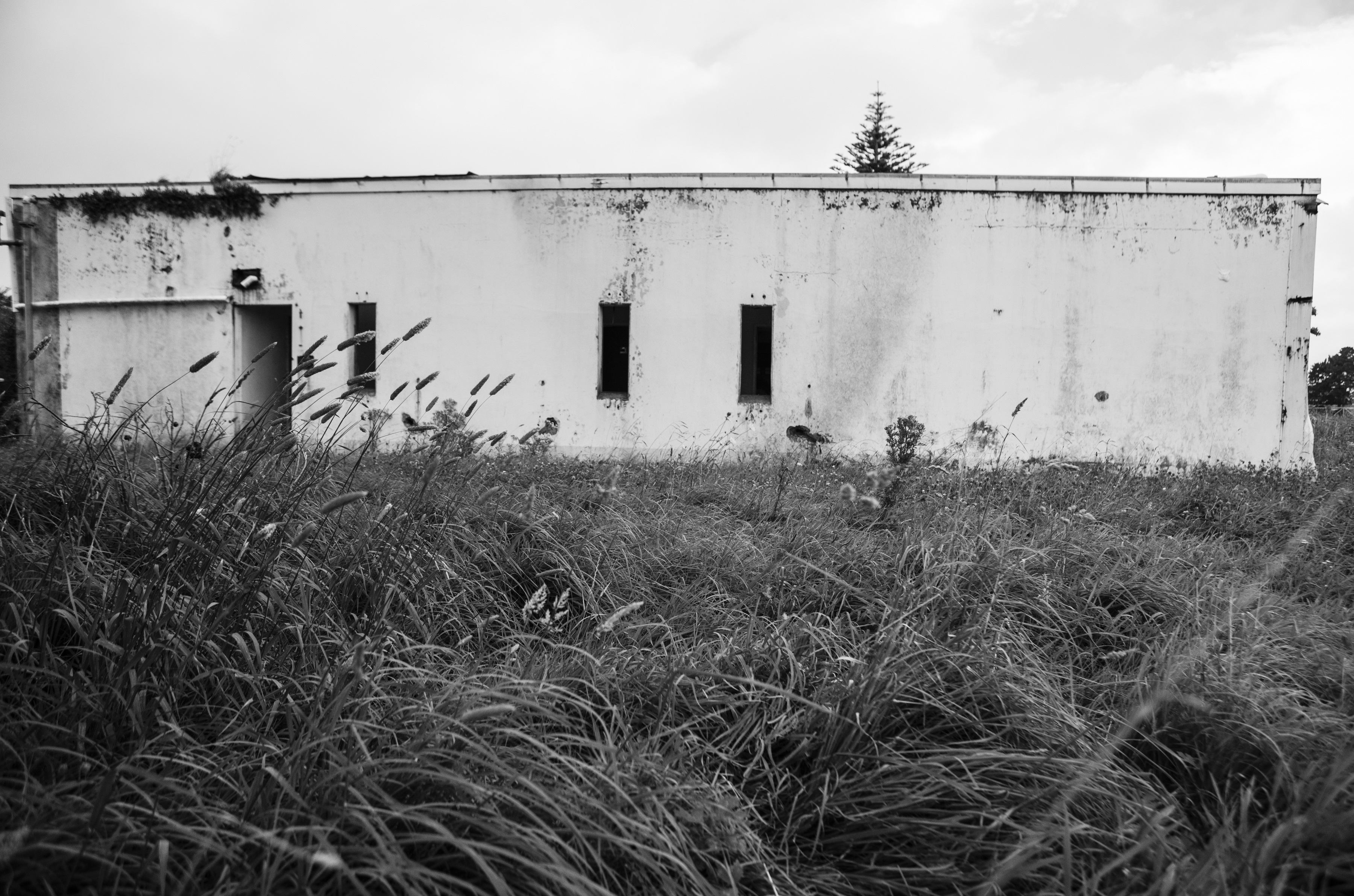 Kohitere Boys' Home in Levin