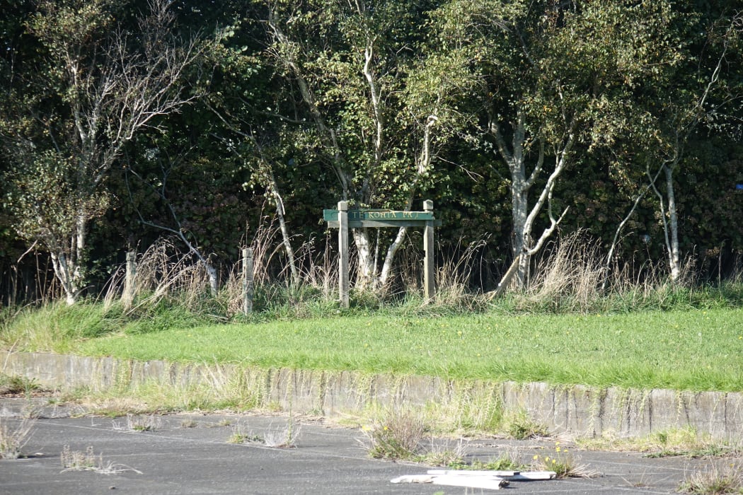 "There's an overgrown paddock with a mouldy sign. It's embarrassing," said Mayor Andrew Judd.