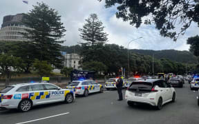 Police responded to a brawl inside the Wellington High Court on the morning of Thursday, 8 February, 2024.