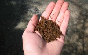 The reddish color of the sandy soil indicates that it is iron rich. This means the soil has good Phosphorus retention capabilities.