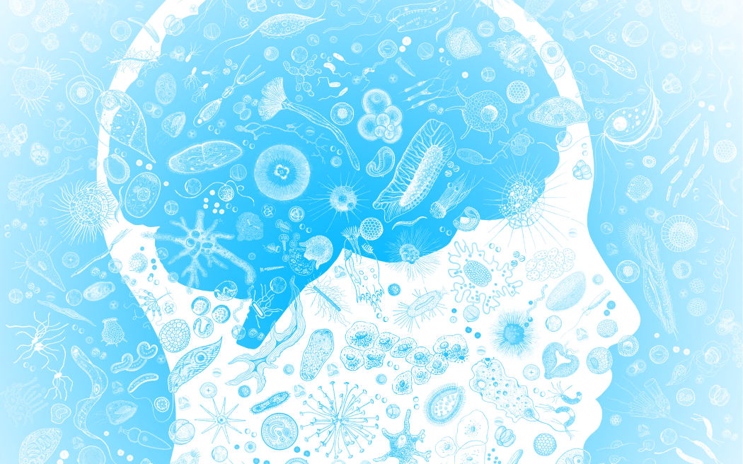 Atoms in the human brain, illustration. (Photo by MEHAU KULYK/SCIENCE PHOTO LIBRAR / MKU / Science Photo Library via AFP)