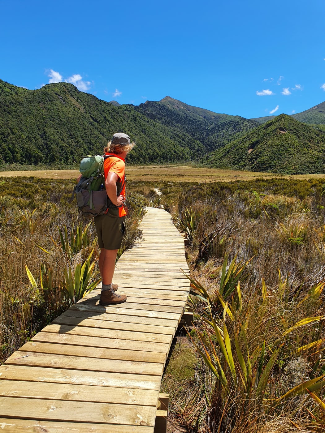 A section of the new boardwalk in Te Papakura o Taranaki / Egmont National Park.