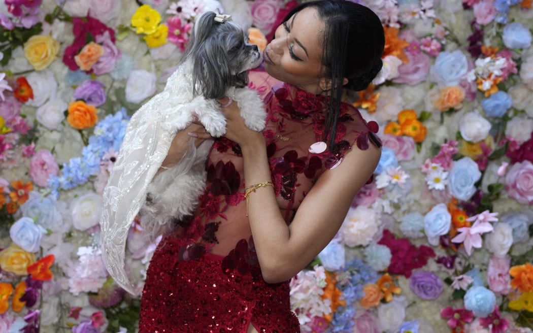 A dog and model attend the Pet Gala fashion show at AKC Museum of The Dog, Monday, May 20, 2024, in New York.