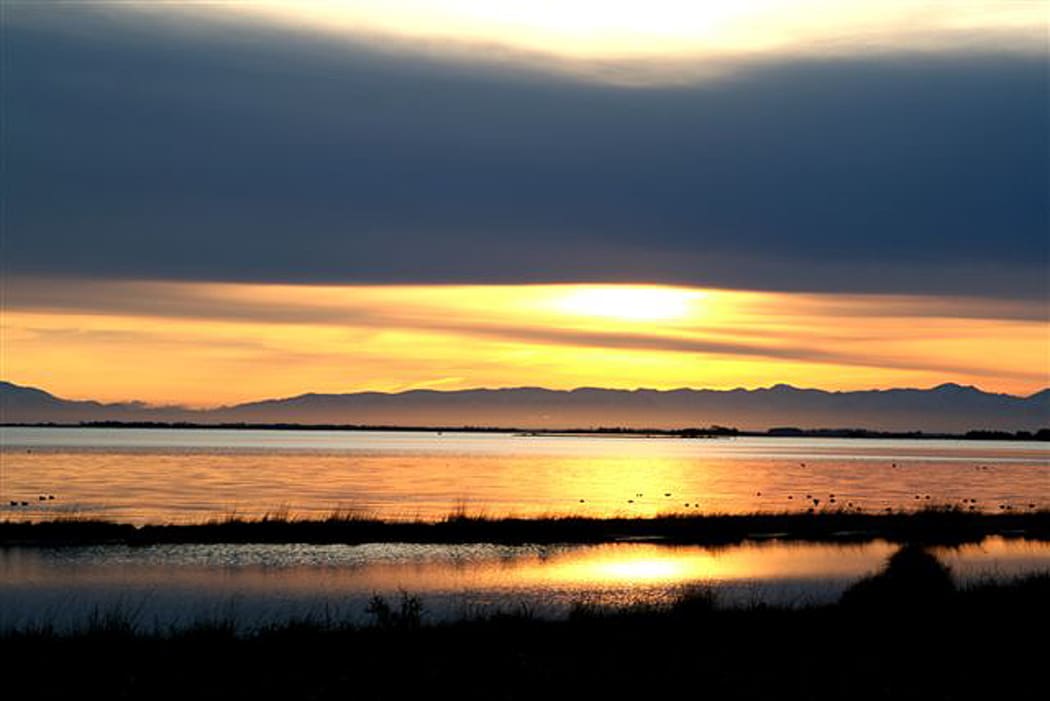 Te Waihora/Lake Ellesmere is New Zealand’s fifth largest lake, its largest coastal lagoon, and an internationally recognised wetland.
