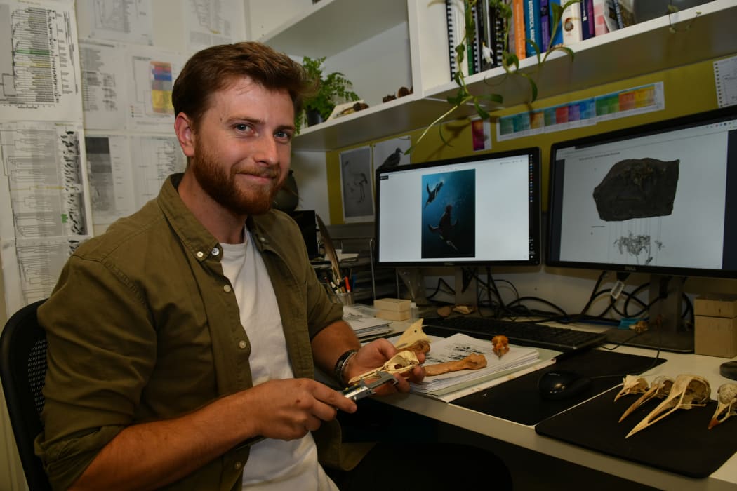 Jacob Blokland pictured with fossils in the Flinders University laboratory.