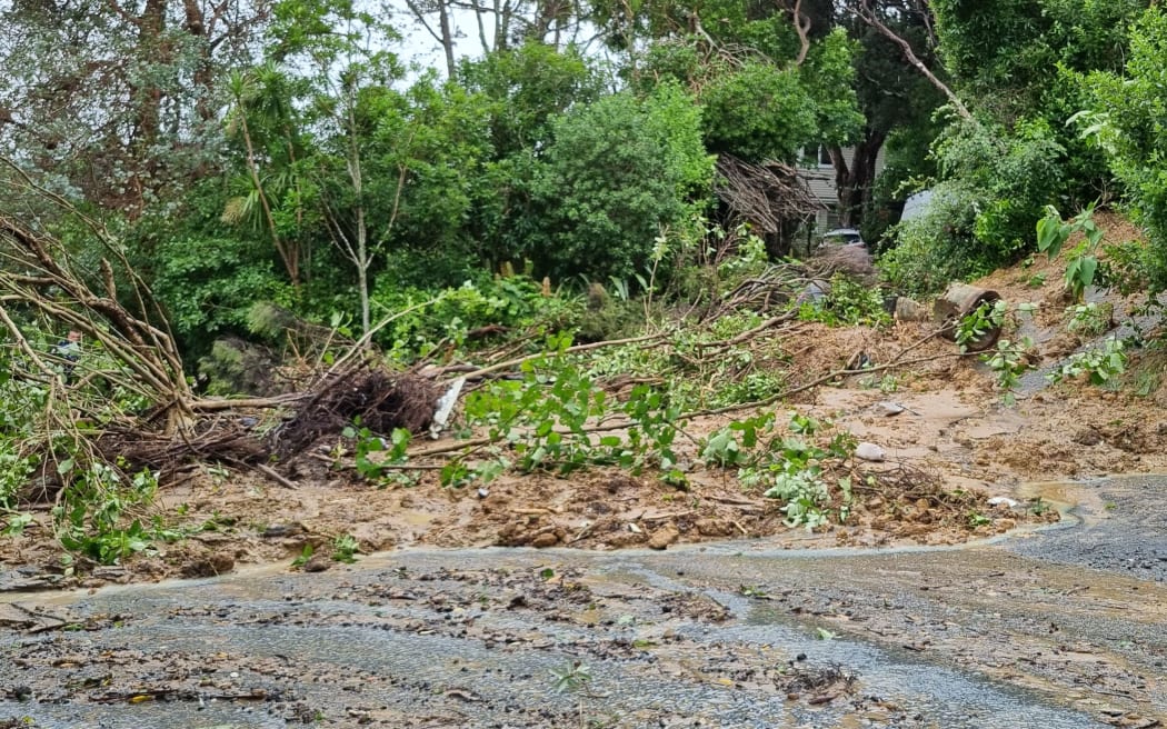 Damage to trees in Muriwai in wake of Cyclone Gabrielle