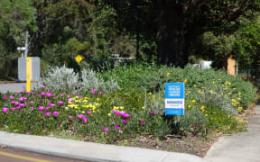 Perth verge or berm garden
