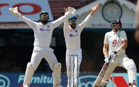 Rishabh Pant and Virat Kohli appeal.