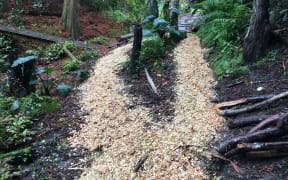 This garden winds through a mix of local natives and fruit trees underplanted with tropicals such as calocasia, and cannas