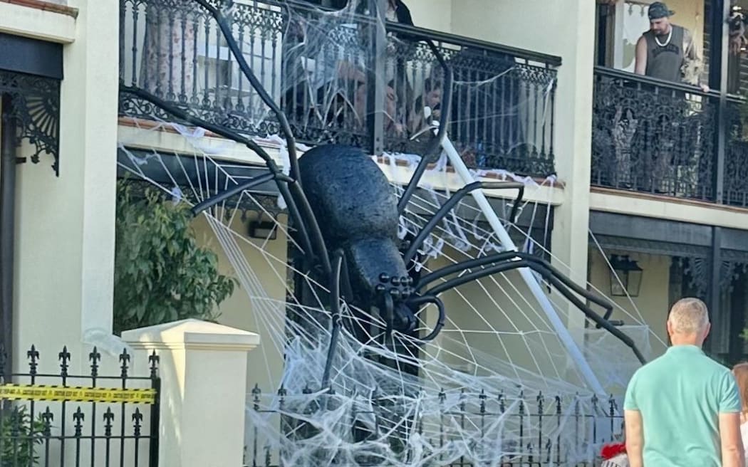 A giant Halloween spider in Wellington.