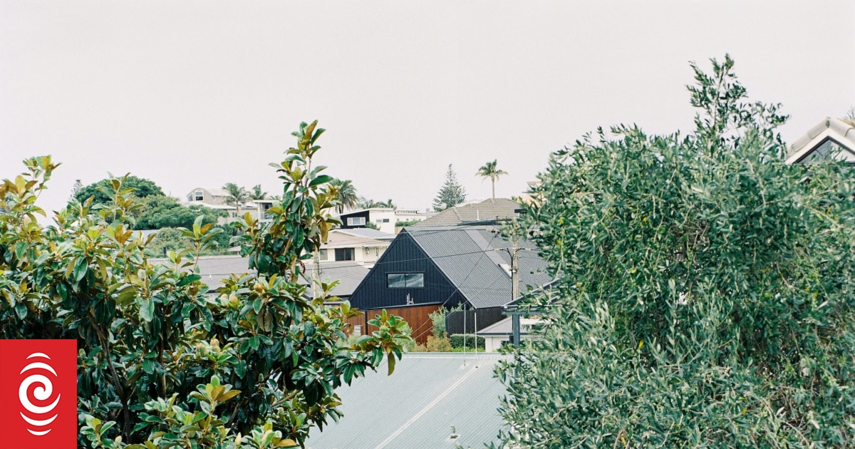 Kryzys mieszkaniowy: mieszkańcy Taurangi mieszkają na łodziach i furgonetkach