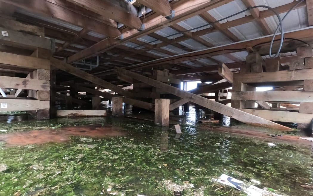 Water has swamped the ground beneath Joan Blair's Rotoehu home.