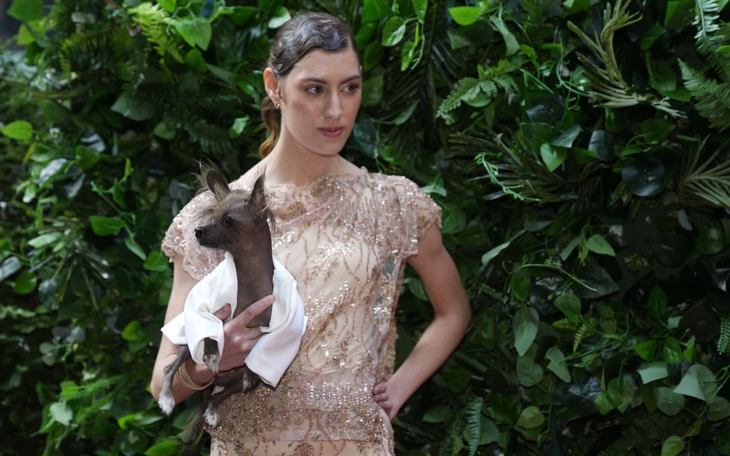 A dog and model attend the Pet Gala fashion show at AKC Museum of The Dog on Monday, May 20, 2024, in New York.