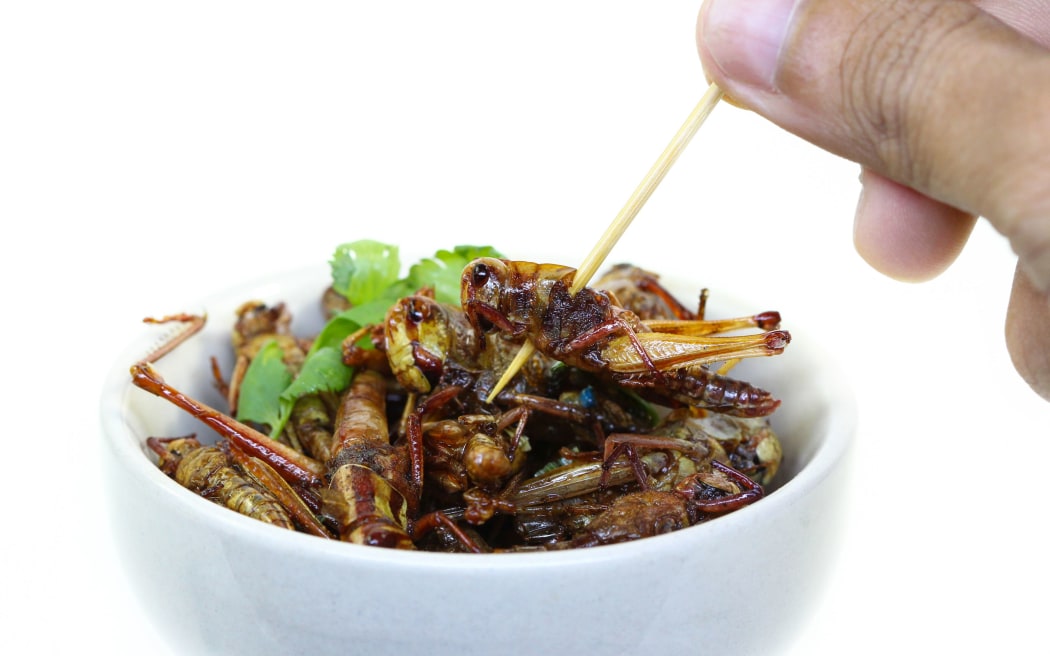 Fried insects.
