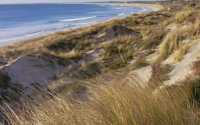 Northern beach, Chatham Islands