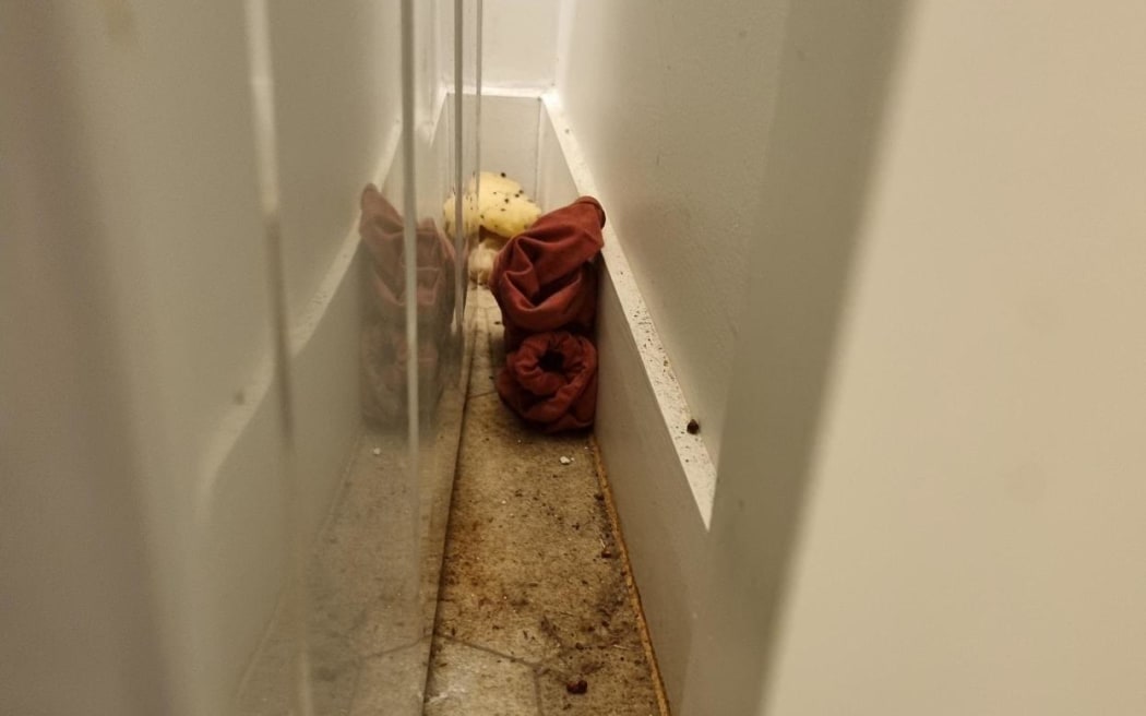 The housing was left dirty and with rubbish in it after the previous tenants.