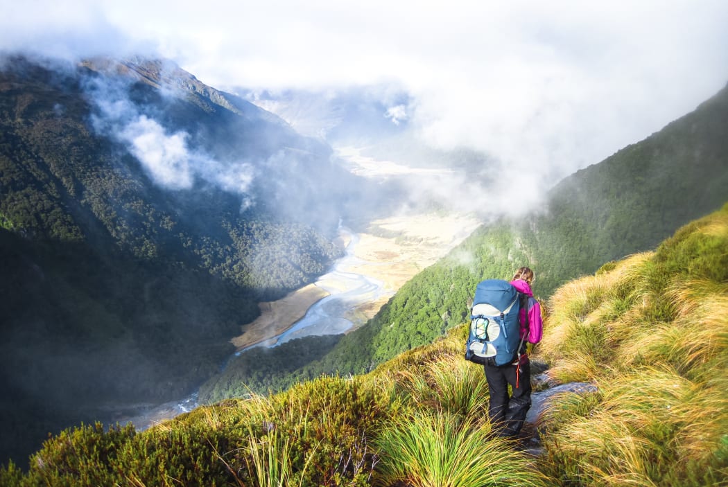 A hiker walks along a trail in the Matukituki Valley in Mt Aspiring National Park.