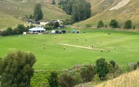 Cricket pitch on a Hawkes Bay farm